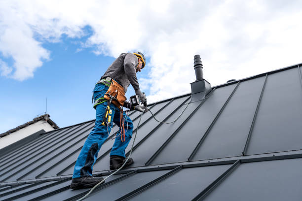 Best Roof Leak Repair  in Lame Deer, MT